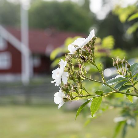 Modal Stugor Hultsfred Exterior photo